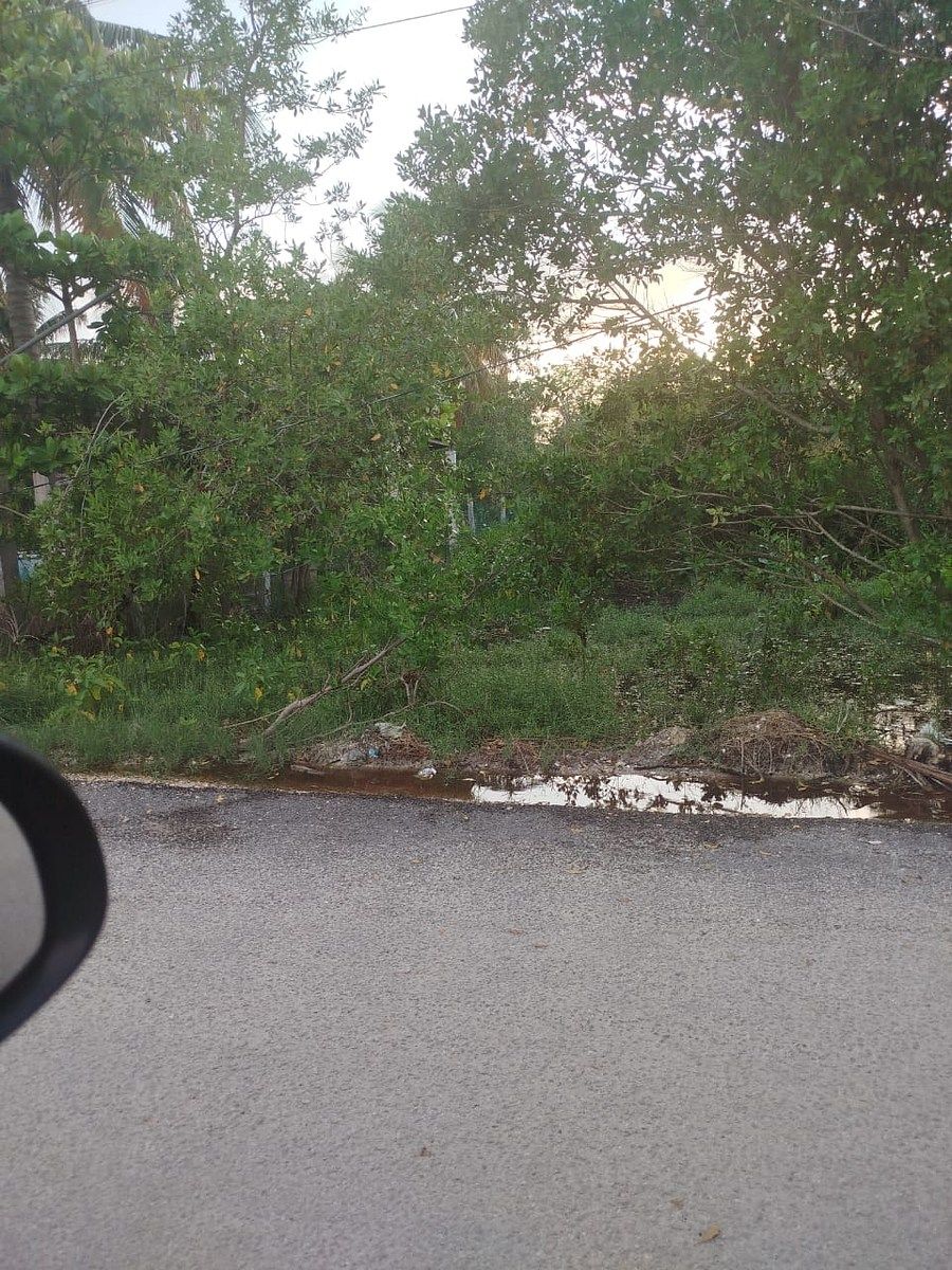 Terreno en Celestun, Celestún, foto 10 de 11
