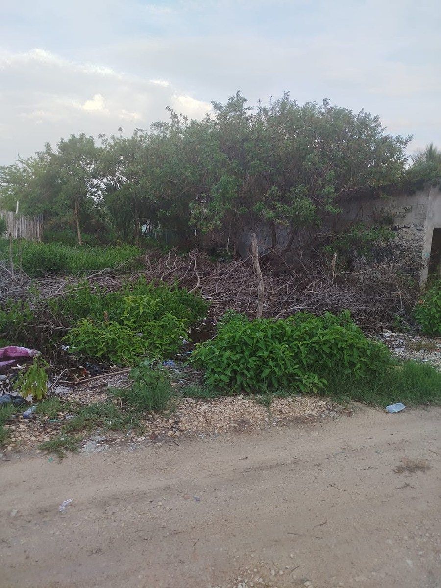 Terreno en Celestun, Celestún, foto 11 de 11