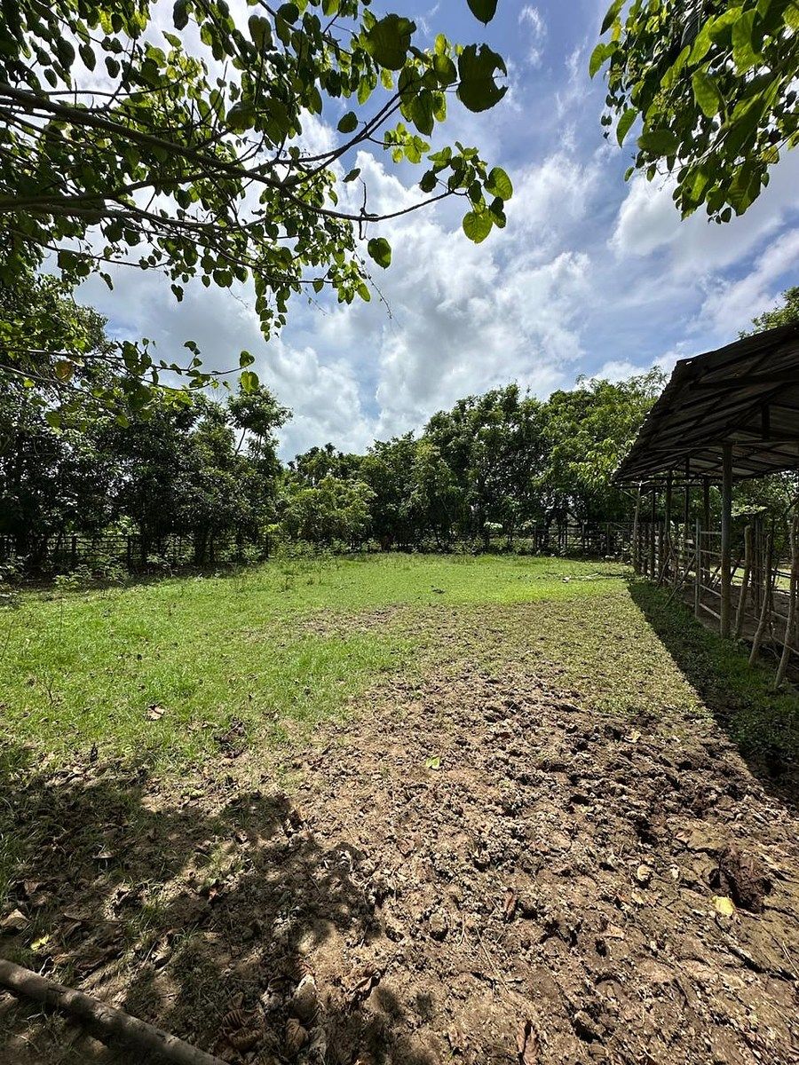 Finca en Bayaguana, foto 3 de 7