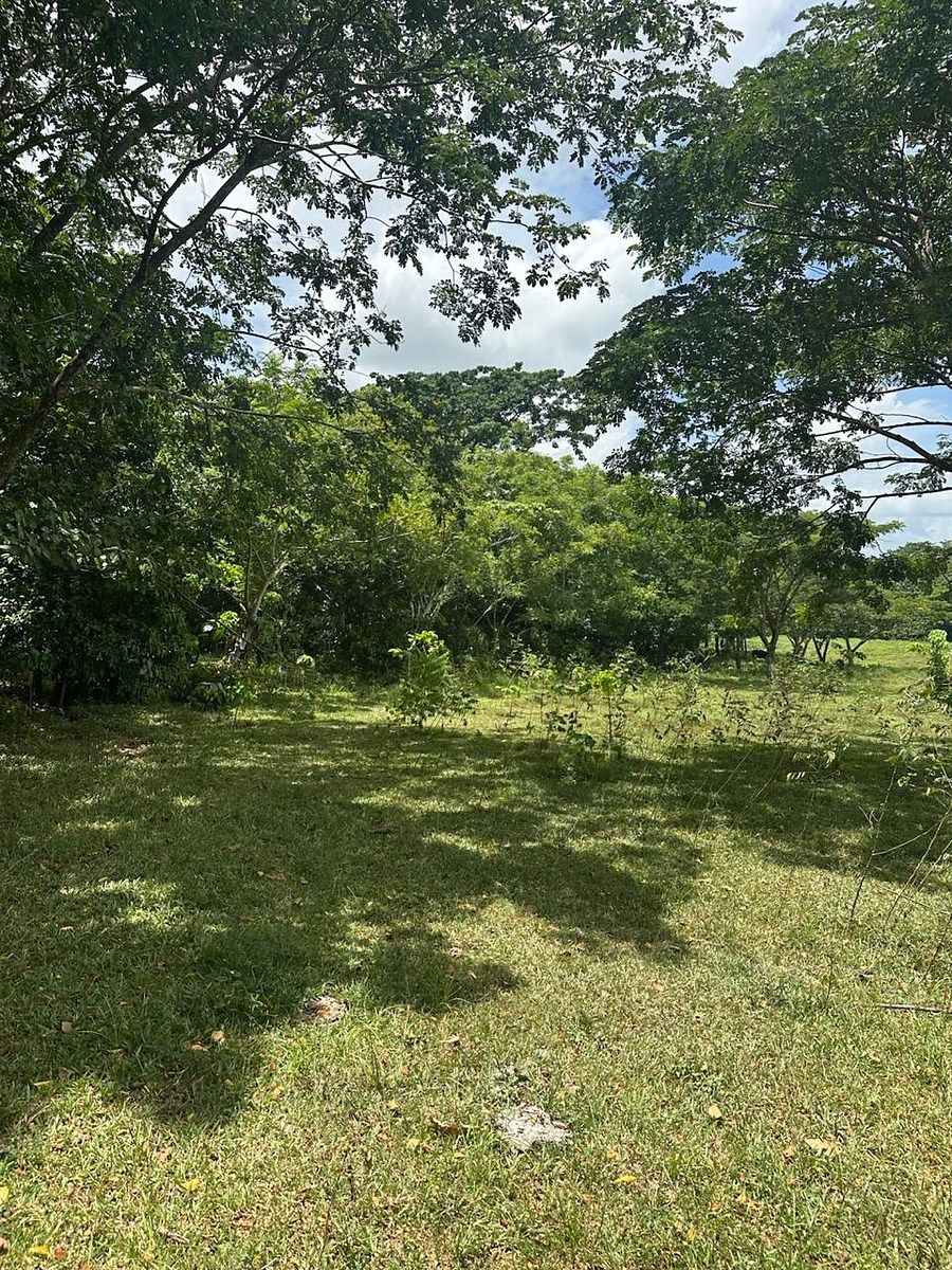 Finca en Bayaguana, foto 6 de 7