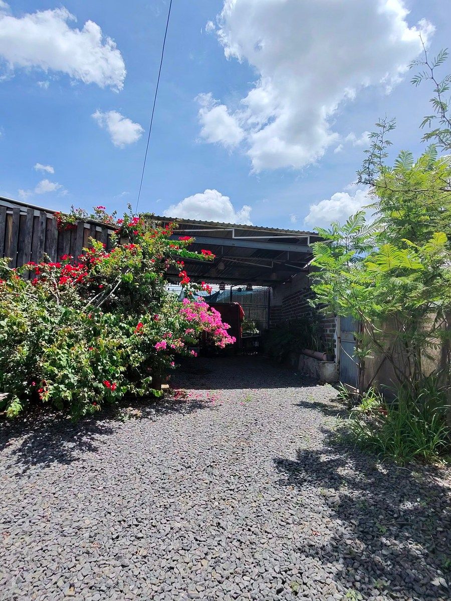 Industrial Lot in Coyula, Tonalá, photo 5 of 17