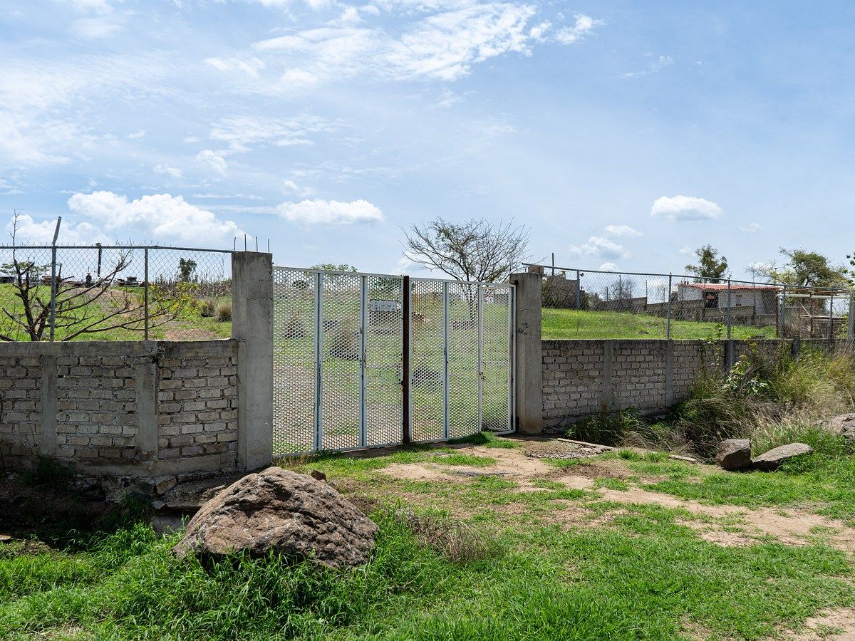 Industrial Lot in Coyula, Tonalá, photo 7 of 17