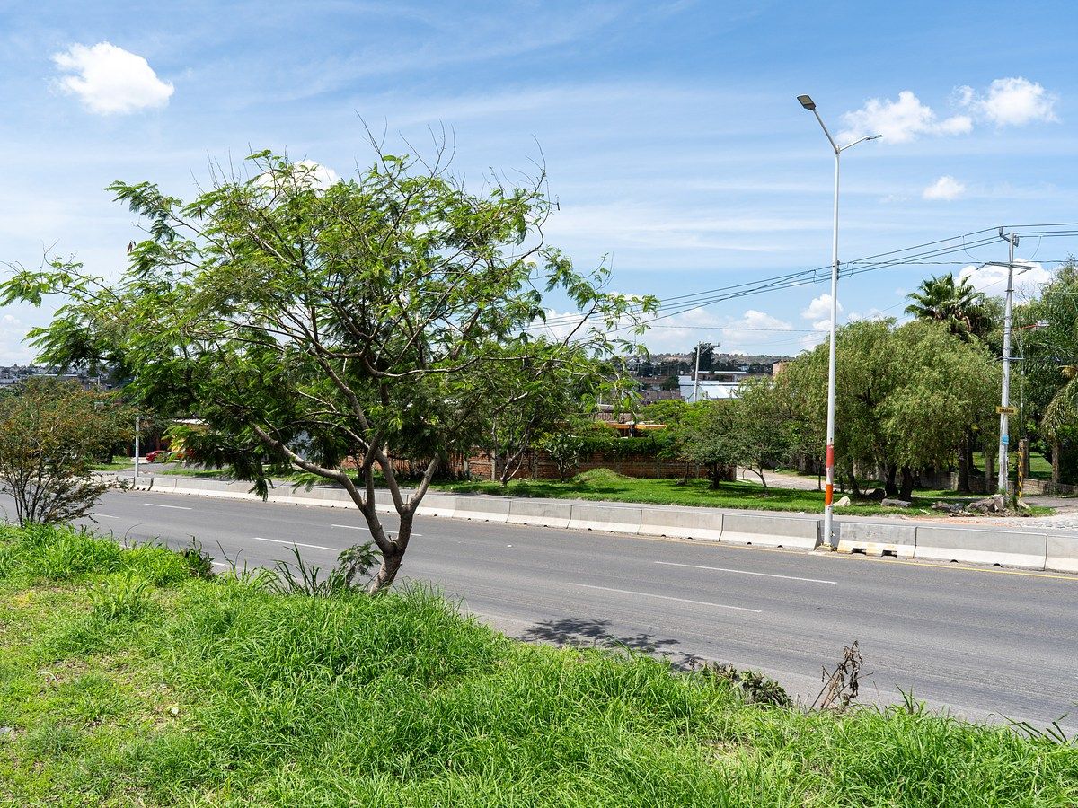 Industrial Lot in Coyula, Tonalá, photo 15 of 17