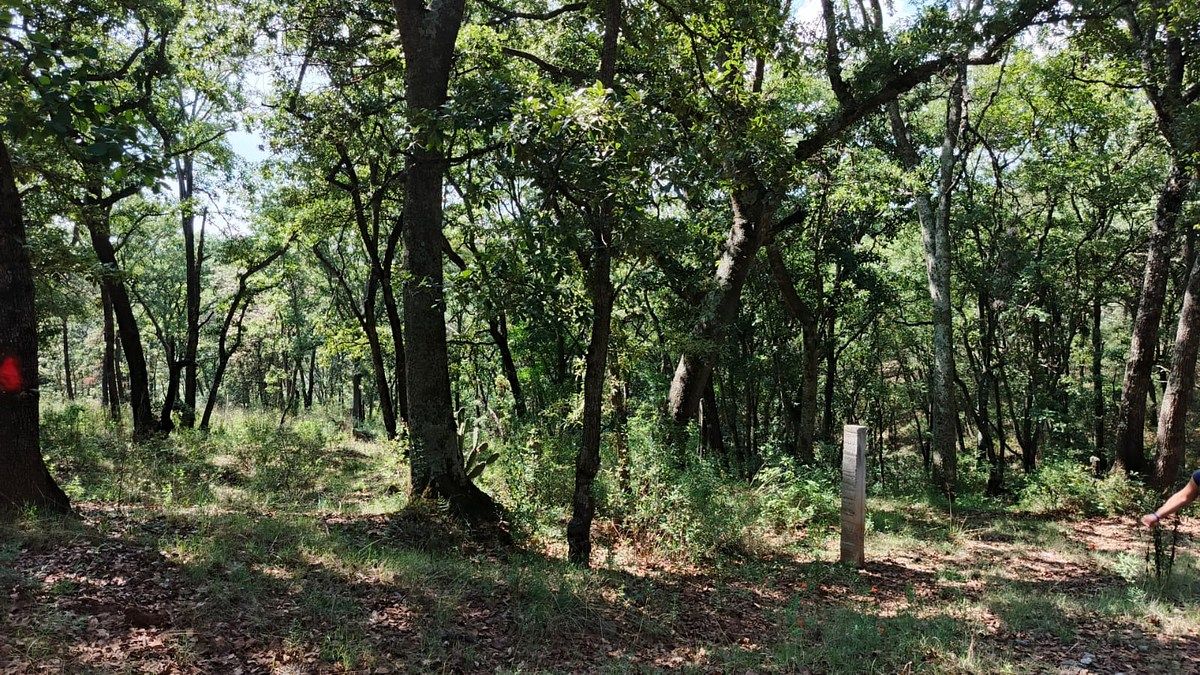 VENTA DE TERRENO EN LA ARRASTRADERA, VILLA DEL CARBON, foto 1 de 34