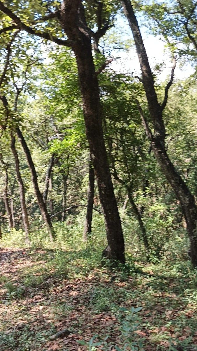 Terreno en La Arrastradera, Villa del Carbón, foto 3 de 34