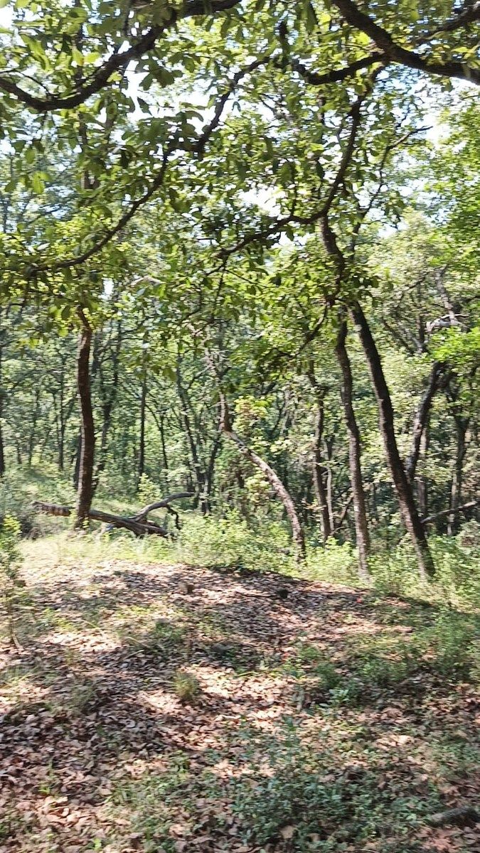 Terreno en La Arrastradera, Villa del Carbón, foto 4 de 34