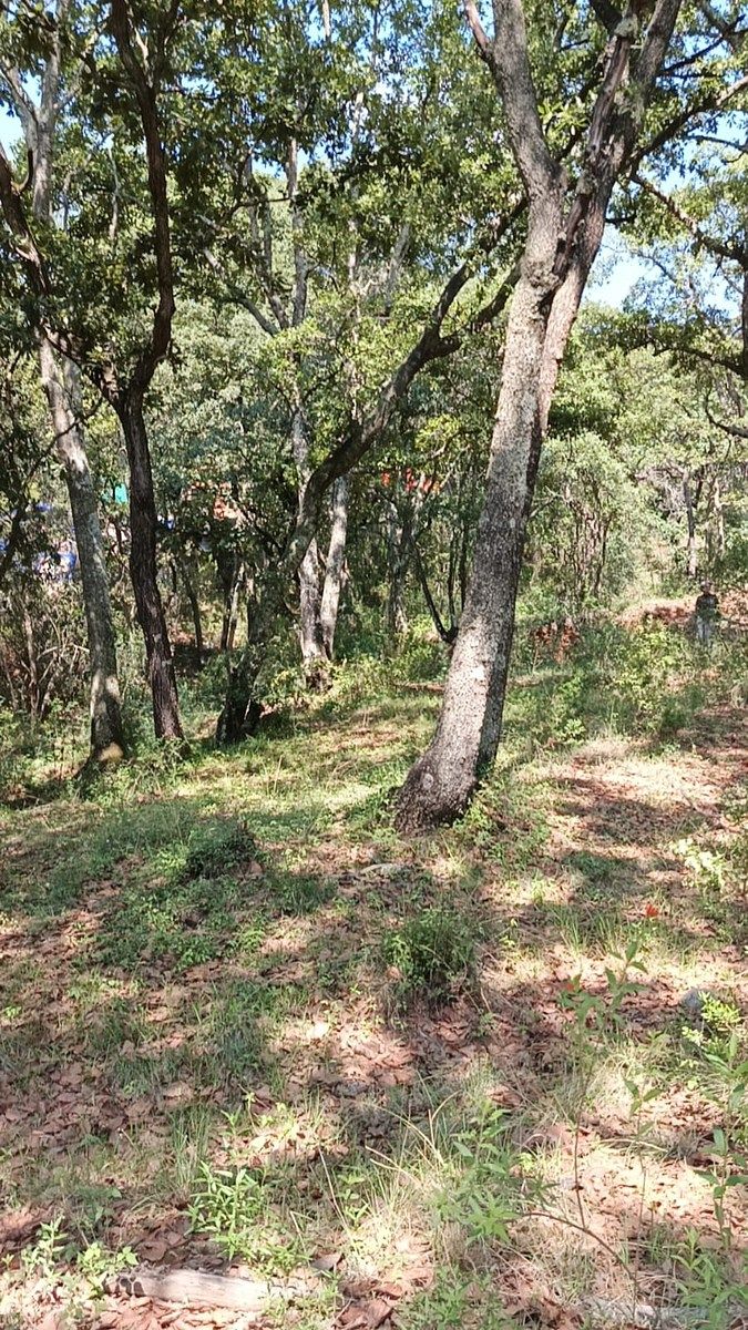 Terreno en La Arrastradera, Villa del Carbón, foto 5 de 34