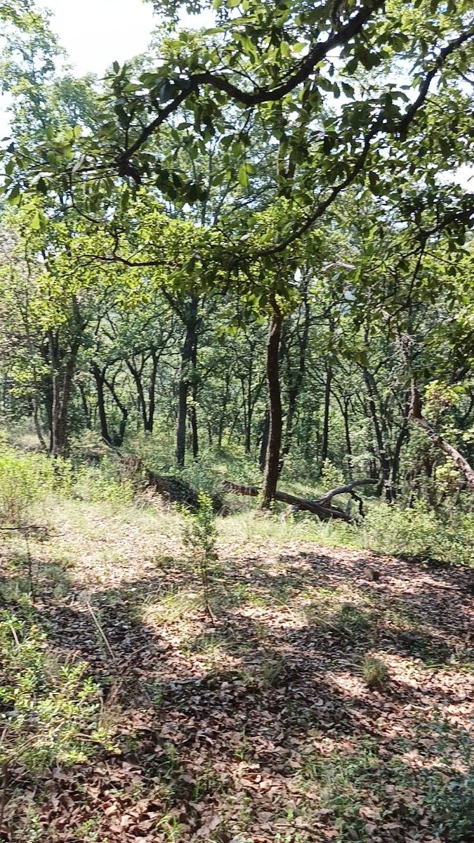 Terreno en La Arrastradera, Villa del Carbón, foto 6 de 34