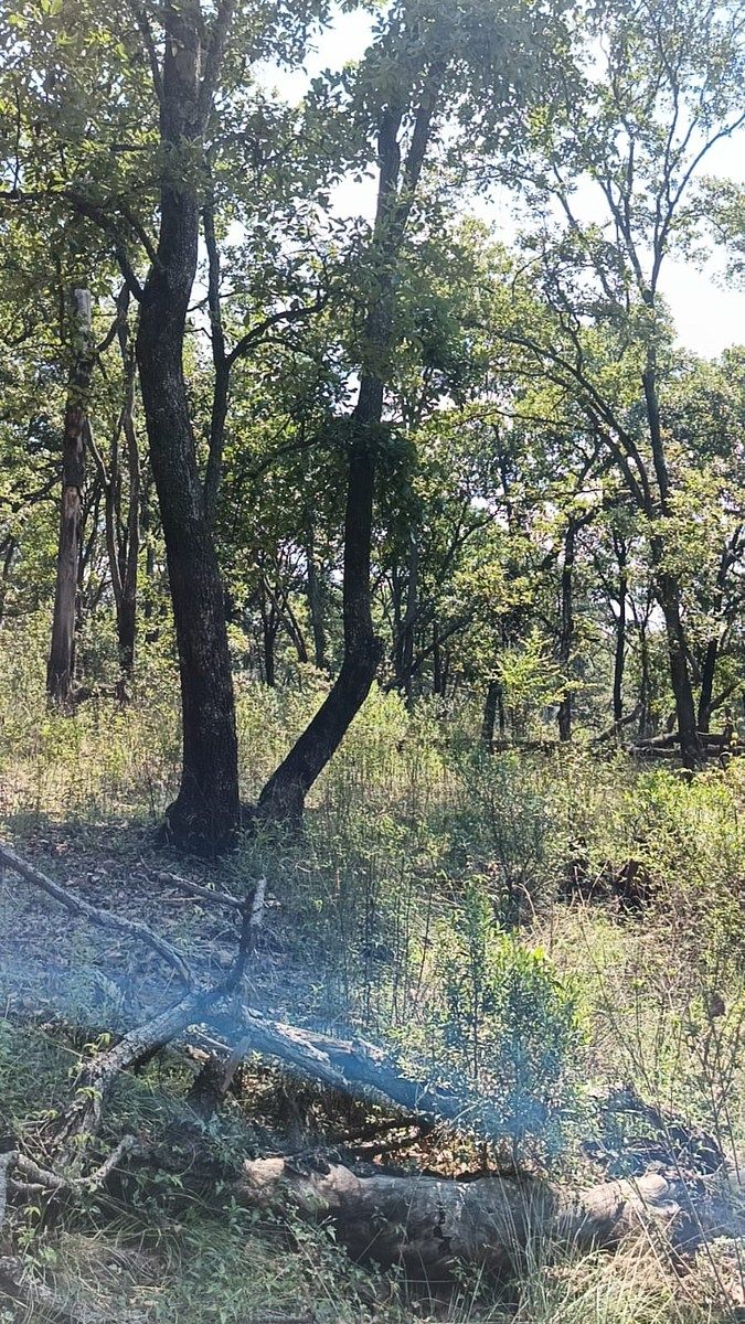 Terreno en La Arrastradera, Villa del Carbón, foto 8 de 34