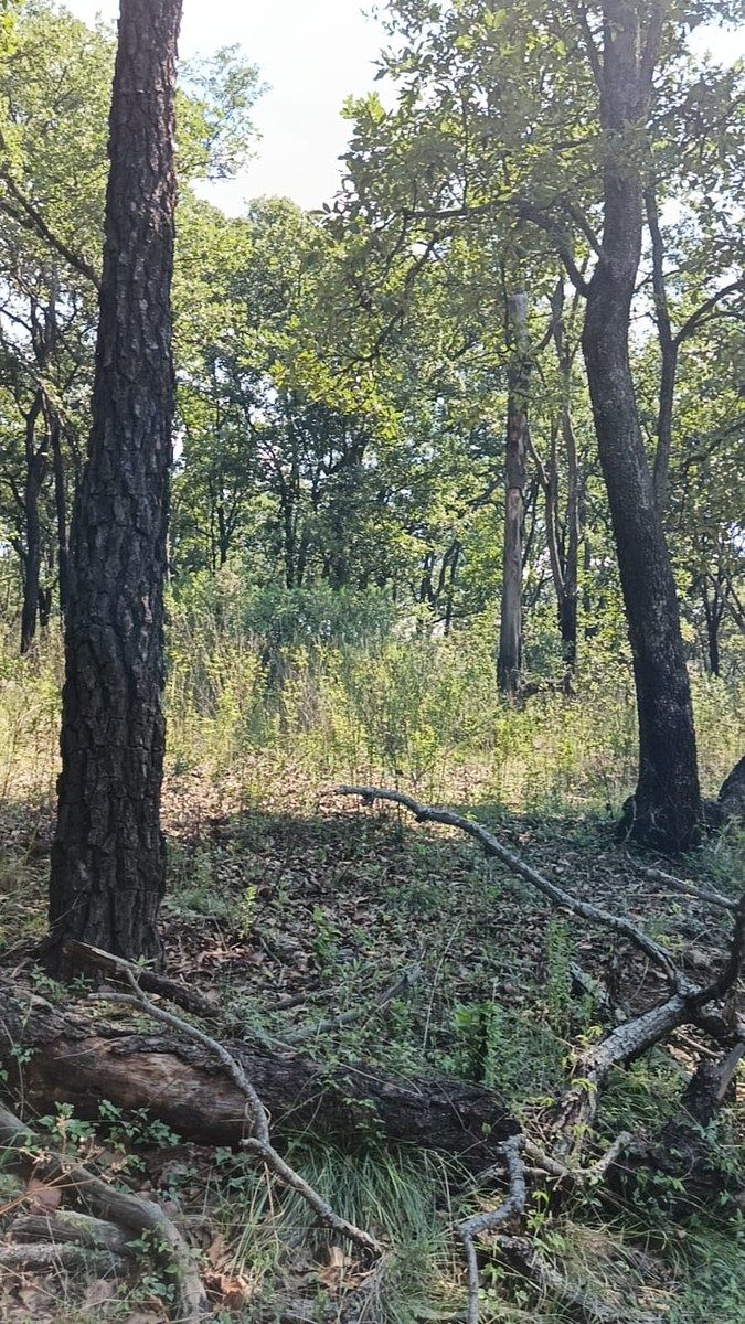 Terreno en La Arrastradera, Villa del Carbón, foto 7 de 34