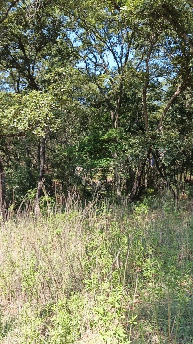 Terreno en La Arrastradera, Villa del Carbón, foto 10 de 34