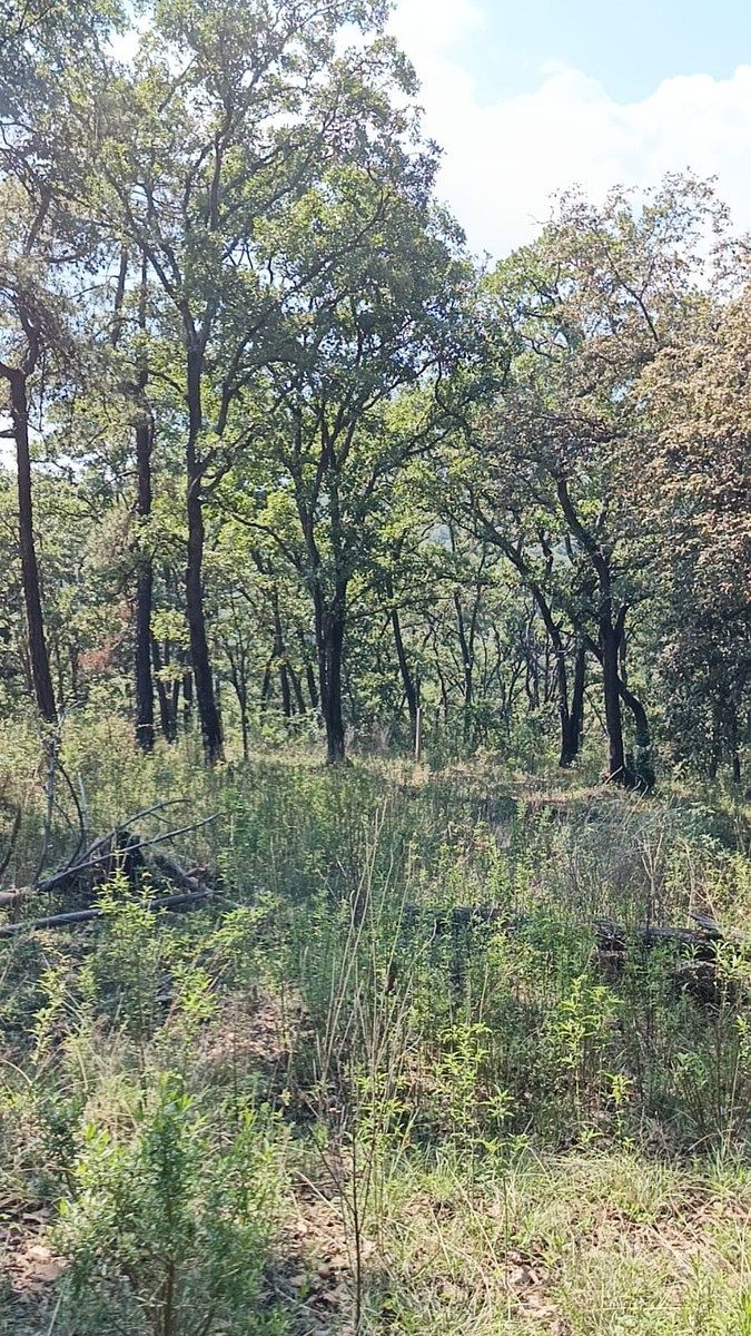 Terreno en La Arrastradera, Villa del Carbón, foto 12 de 34