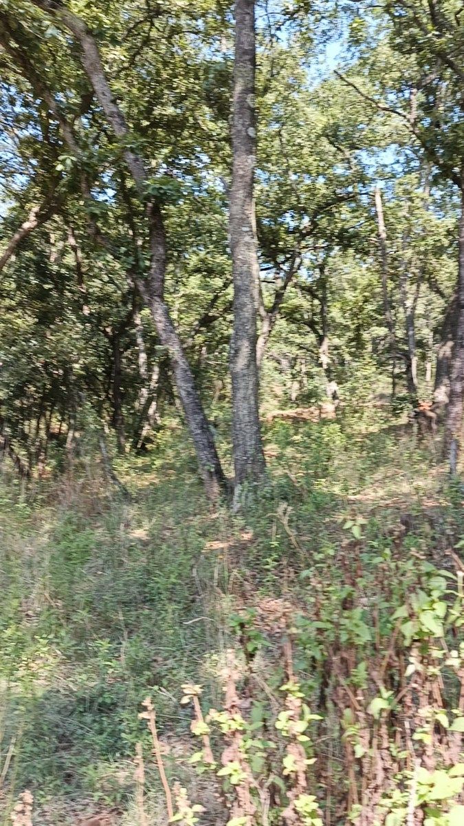 Terreno en La Arrastradera, Villa del Carbón, foto 14 de 34