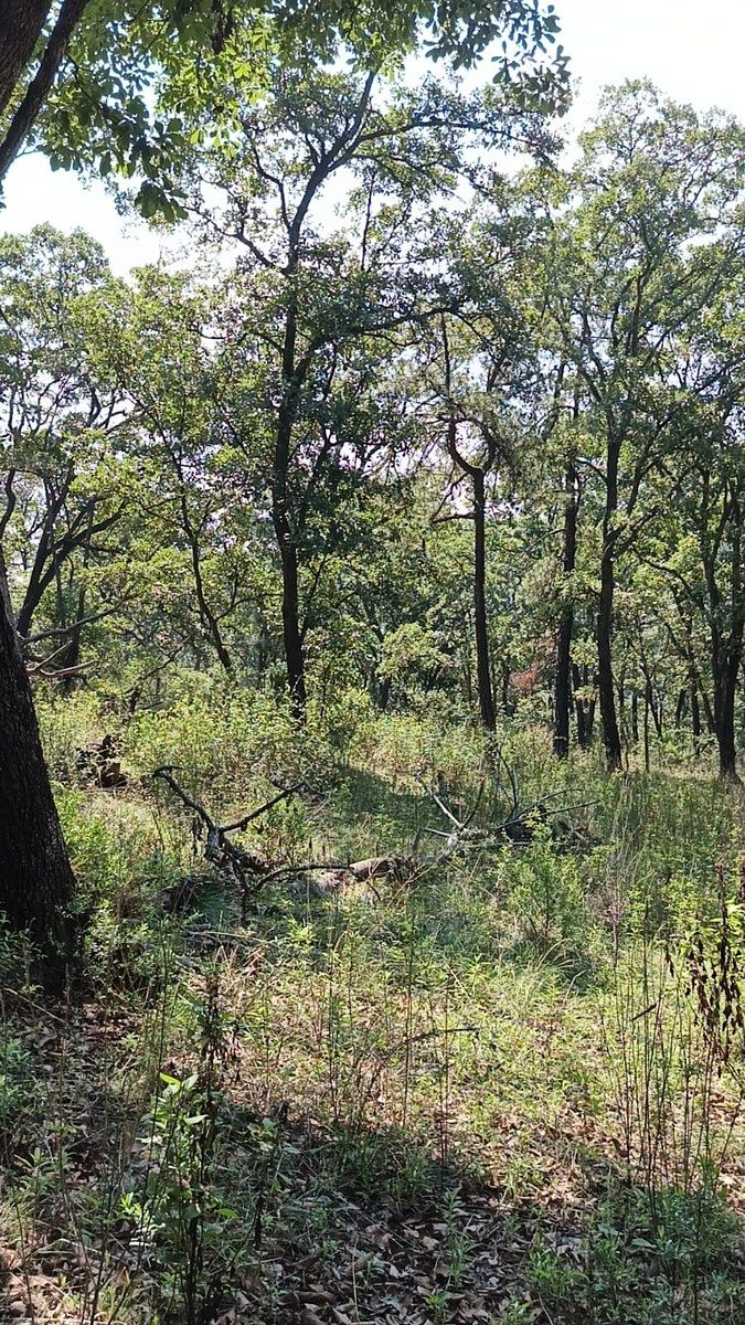 Terreno en La Arrastradera, Villa del Carbón, foto 15 de 34