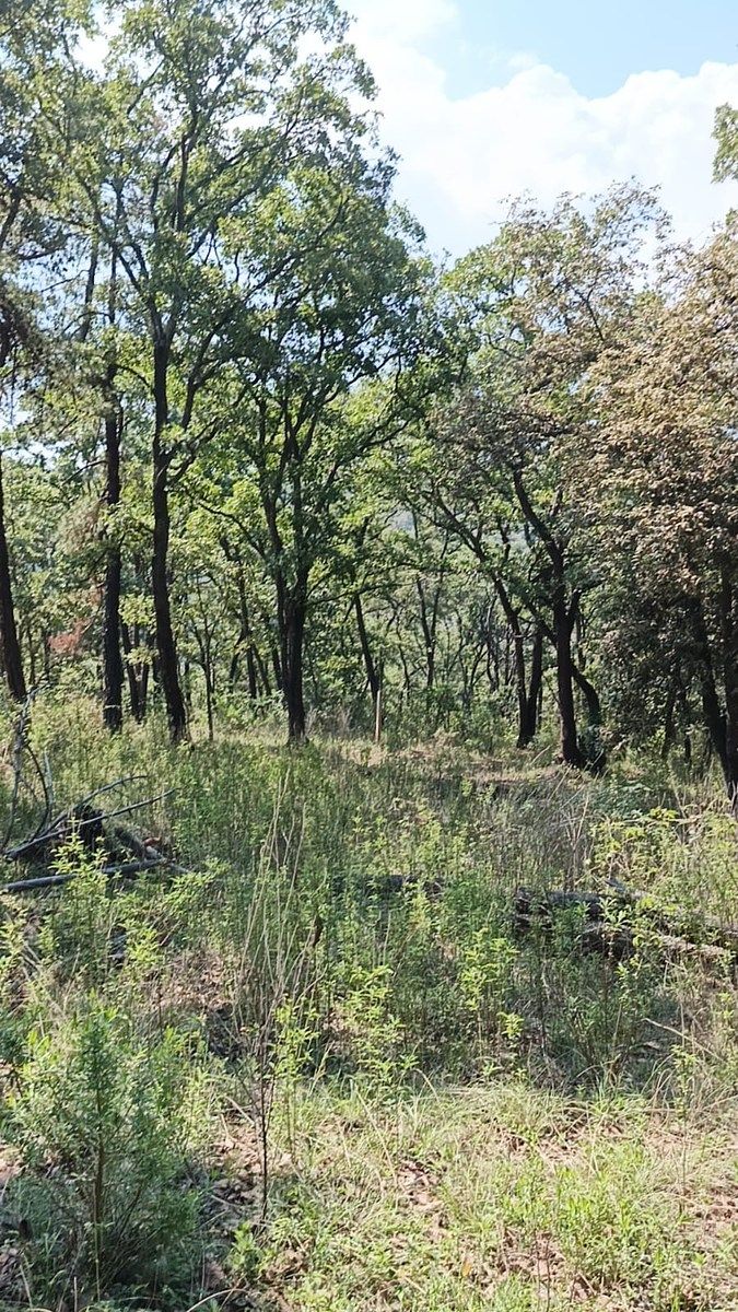Terreno en La Arrastradera, Villa del Carbón, foto 18 de 34
