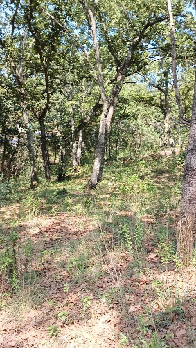Terreno en La Arrastradera, Villa del Carbón, foto 21 de 34