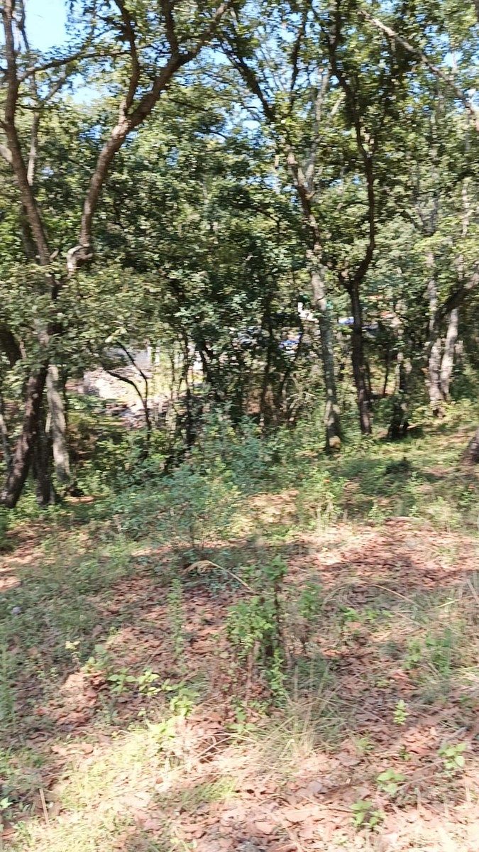 Terreno en La Arrastradera, Villa del Carbón, foto 22 de 34