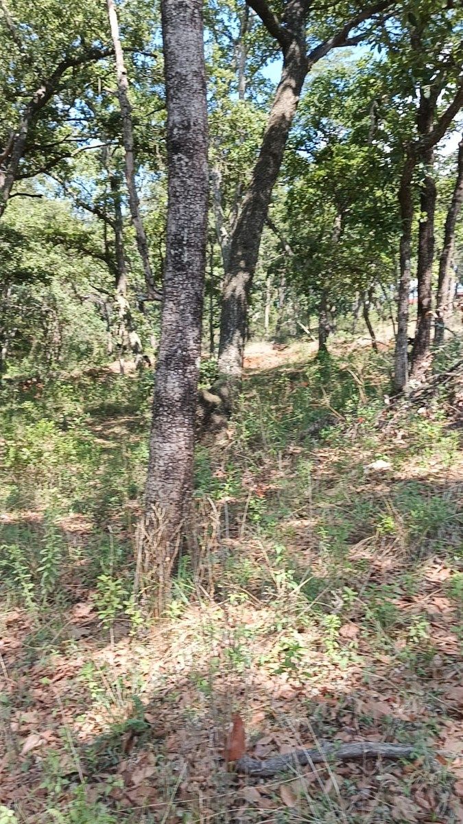 Terreno en La Arrastradera, Villa del Carbón, foto 24 de 34