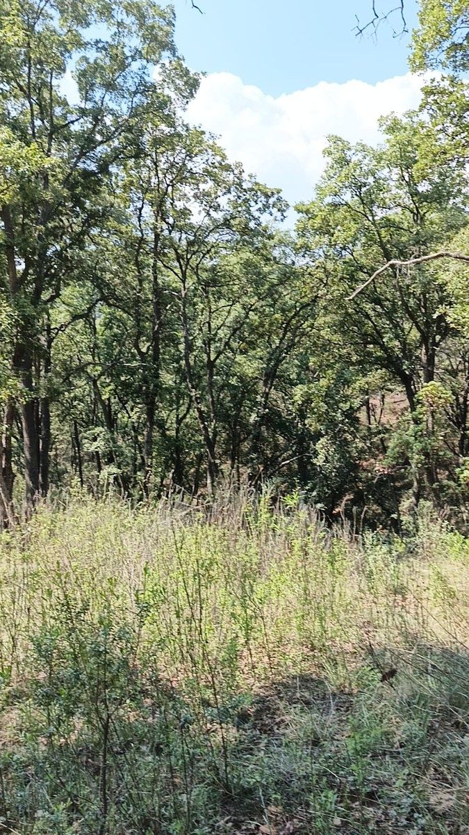 Terreno en La Arrastradera, Villa del Carbón, foto 25 de 34