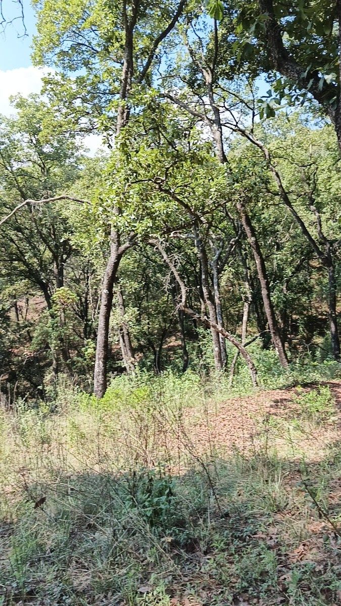 Terreno en La Arrastradera, Villa del Carbón, foto 29 de 34