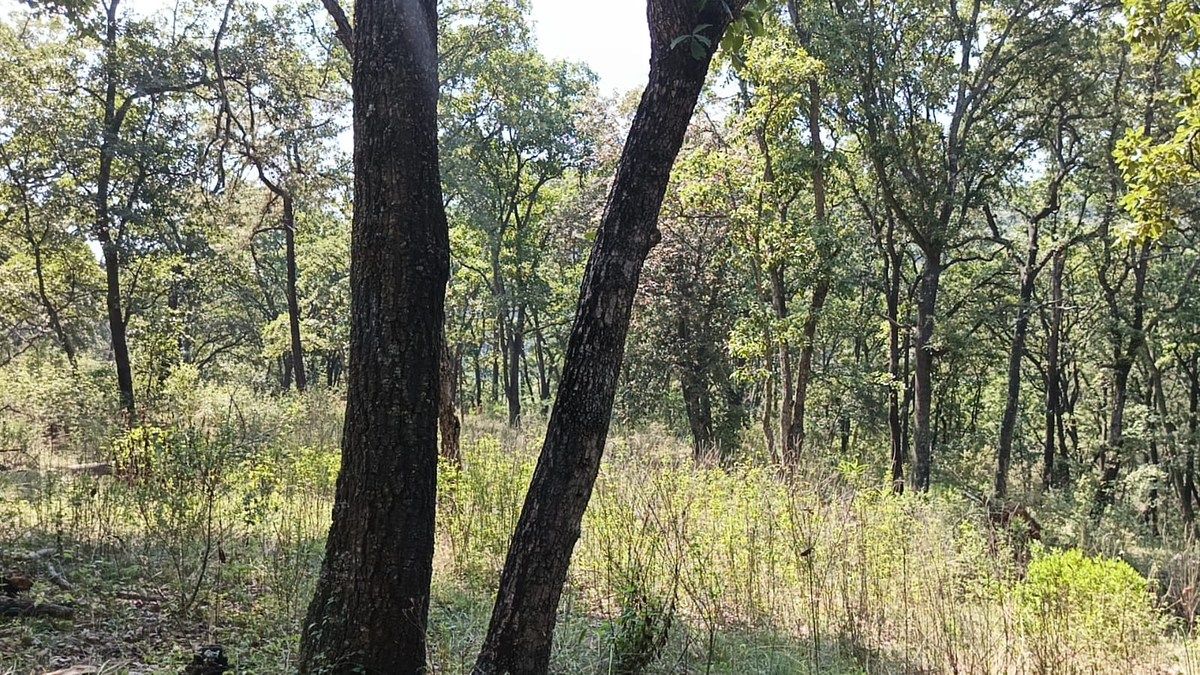 Terreno en La Arrastradera, Villa del Carbón, foto 30 de 34