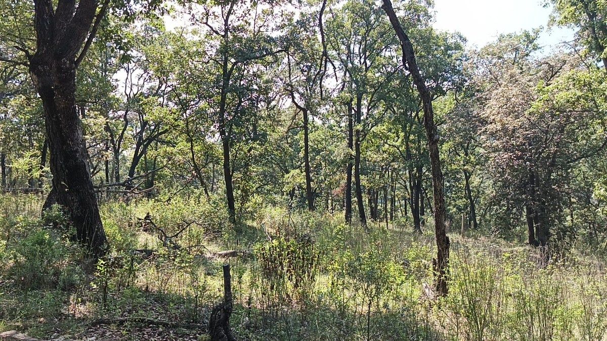 Terreno en La Arrastradera, Villa del Carbón, foto 32 de 34
