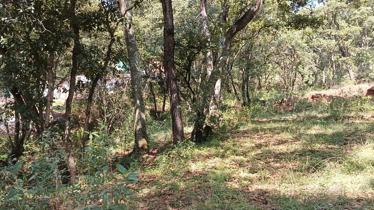 Terreno en La Arrastradera, Villa del Carbón, foto 33 de 34