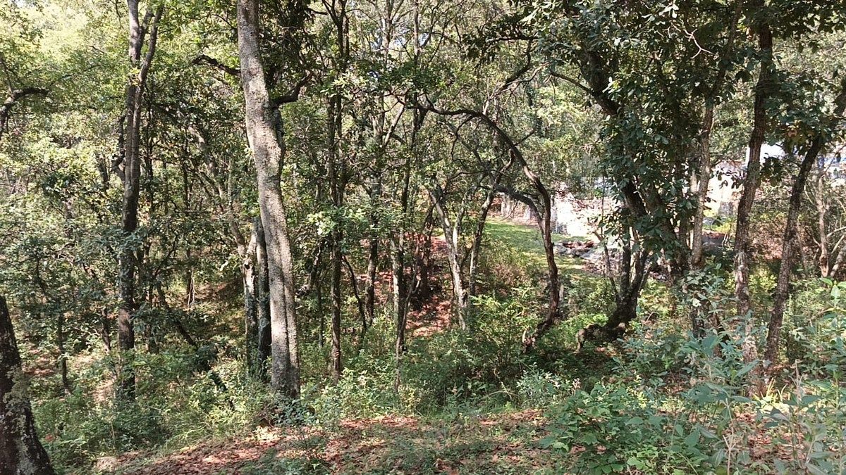 Terreno en La Arrastradera, Villa del Carbón, foto 34 de 34