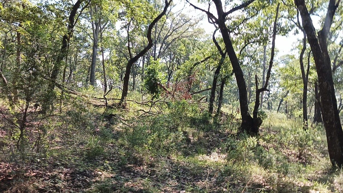 VENTA DE TERRENO EN LA ARRASTRADERA, VILLA DEL CARBON, foto 1 de 17
