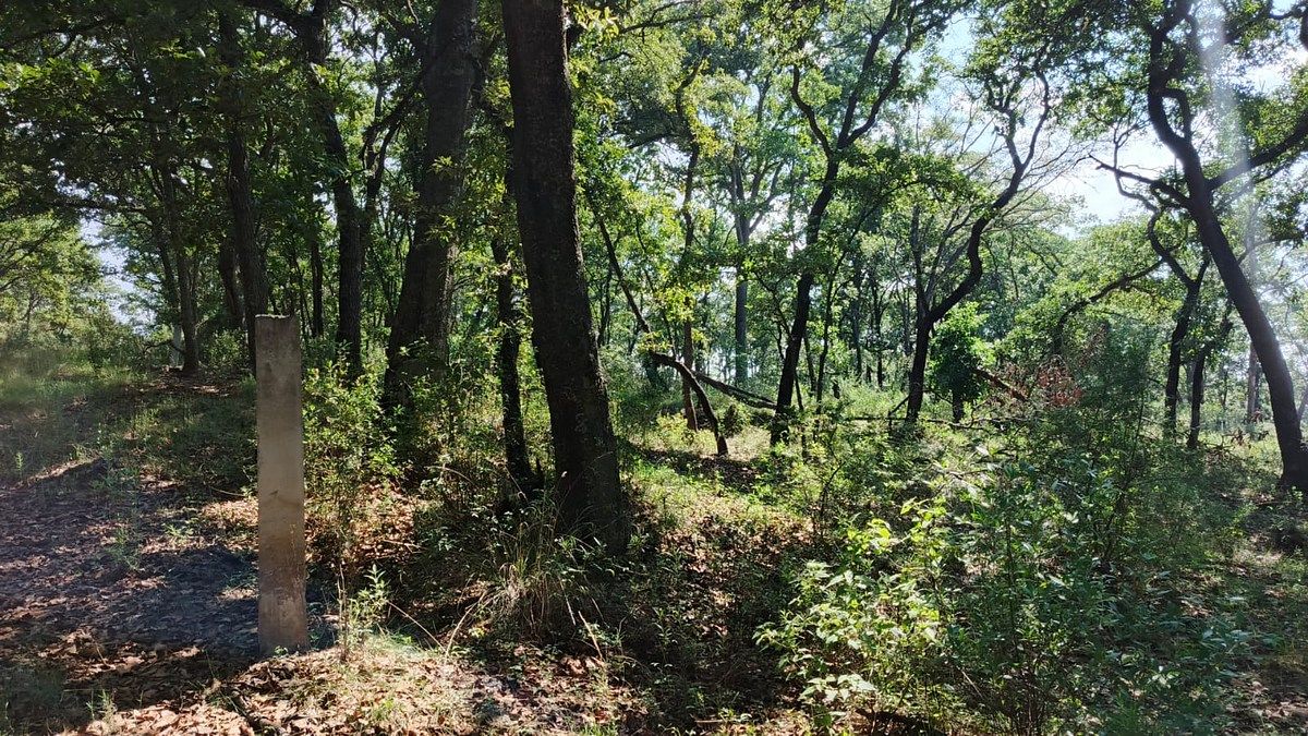 Terreno en La Arrastradera, Villa del Carbón, foto 2 de 17