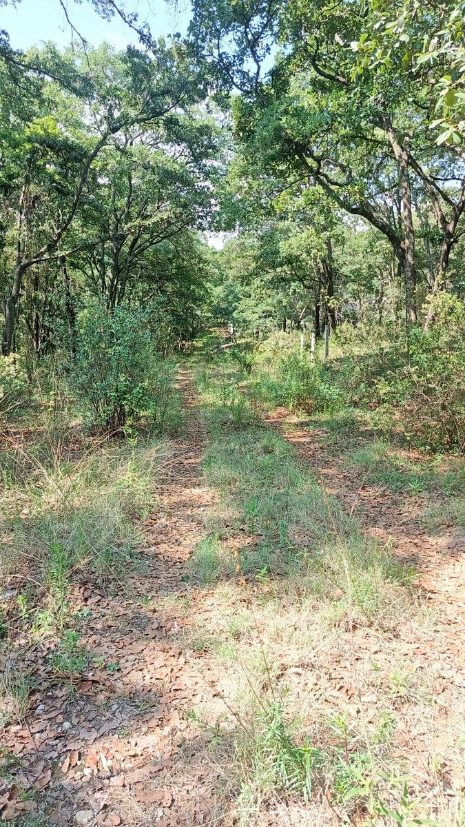 Terreno en La Arrastradera, Villa del Carbón, foto 4 de 17