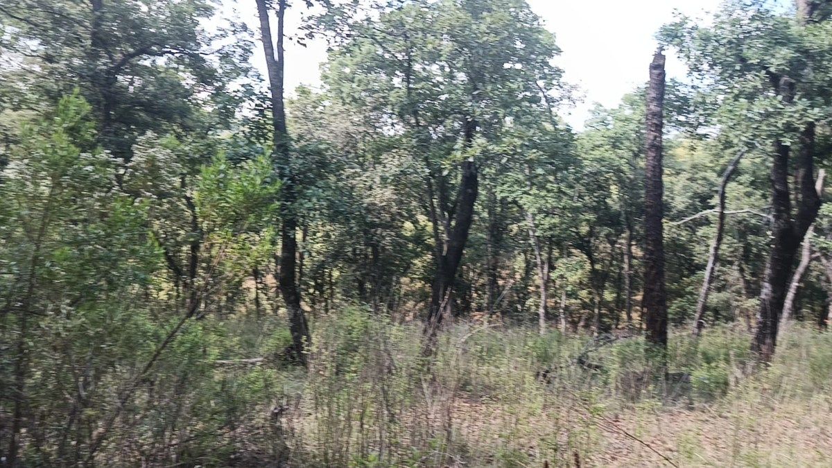 Terreno en La Arrastradera, Villa del Carbón, foto 5 de 17