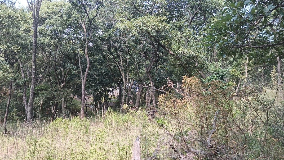 Terreno en La Arrastradera, Villa del Carbón, foto 7 de 17
