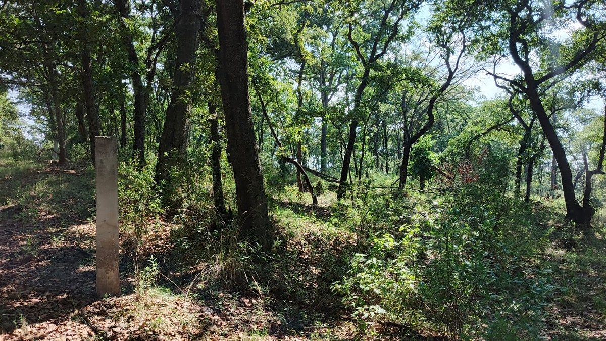 Terreno en La Arrastradera, Villa del Carbón, foto 8 de 17