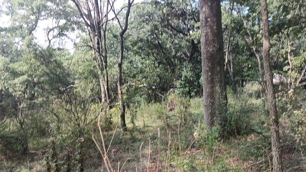 Terreno en La Arrastradera, Villa del Carbón, foto 11 de 17
