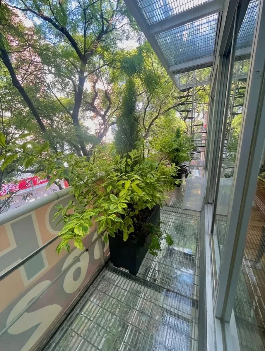 Apartment in Anzures, Miguel Hidalgo, photo 3 of 18