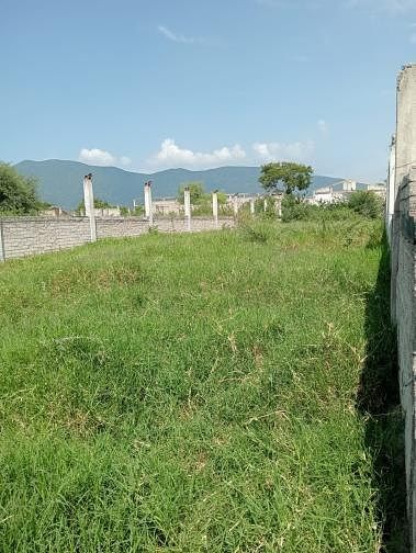Terreno industrial de 67,500m2 bardeado con pozo de agua, foto 1 de 8