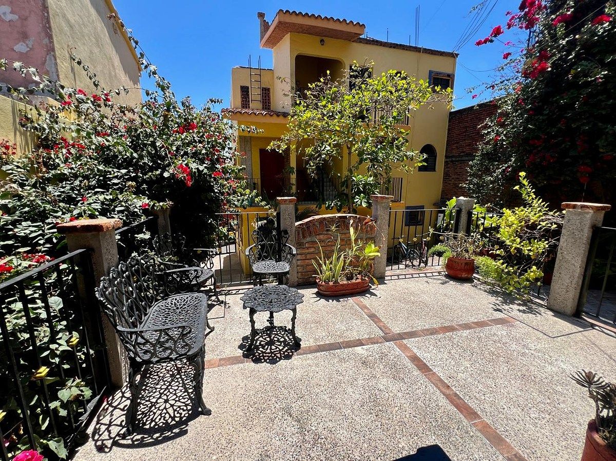 patio-garden, photo 6 of 34