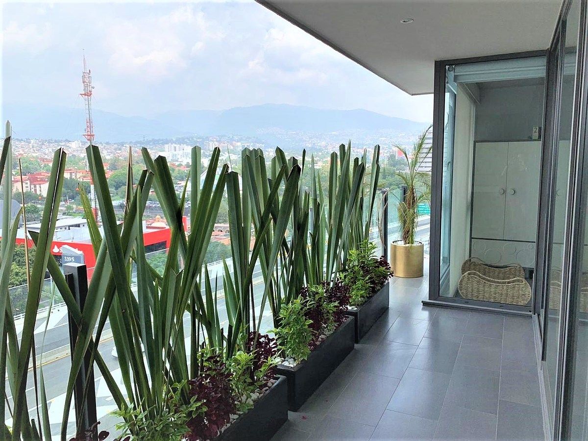 Departamento en Jardines del Pedregal, Álvaro Obregón, foto 3 de 26