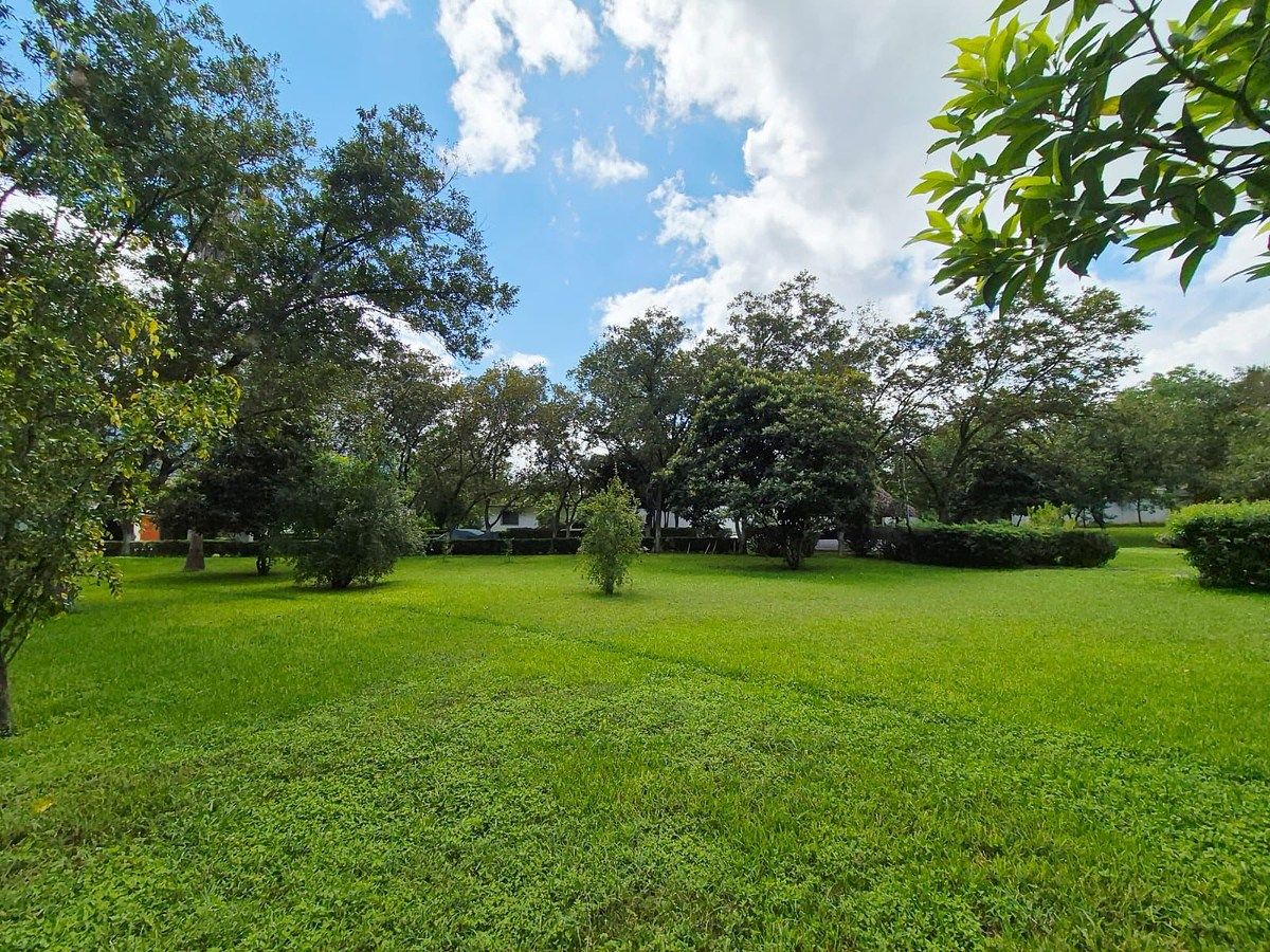 Lote em Los Rodriguez, Santiago, foto 8 de 14