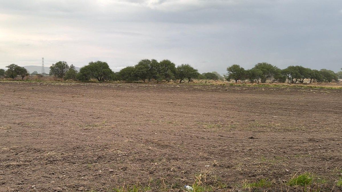 Terreno en El Sáuz Alto, Pedro Escobedo, foto 4 de 13