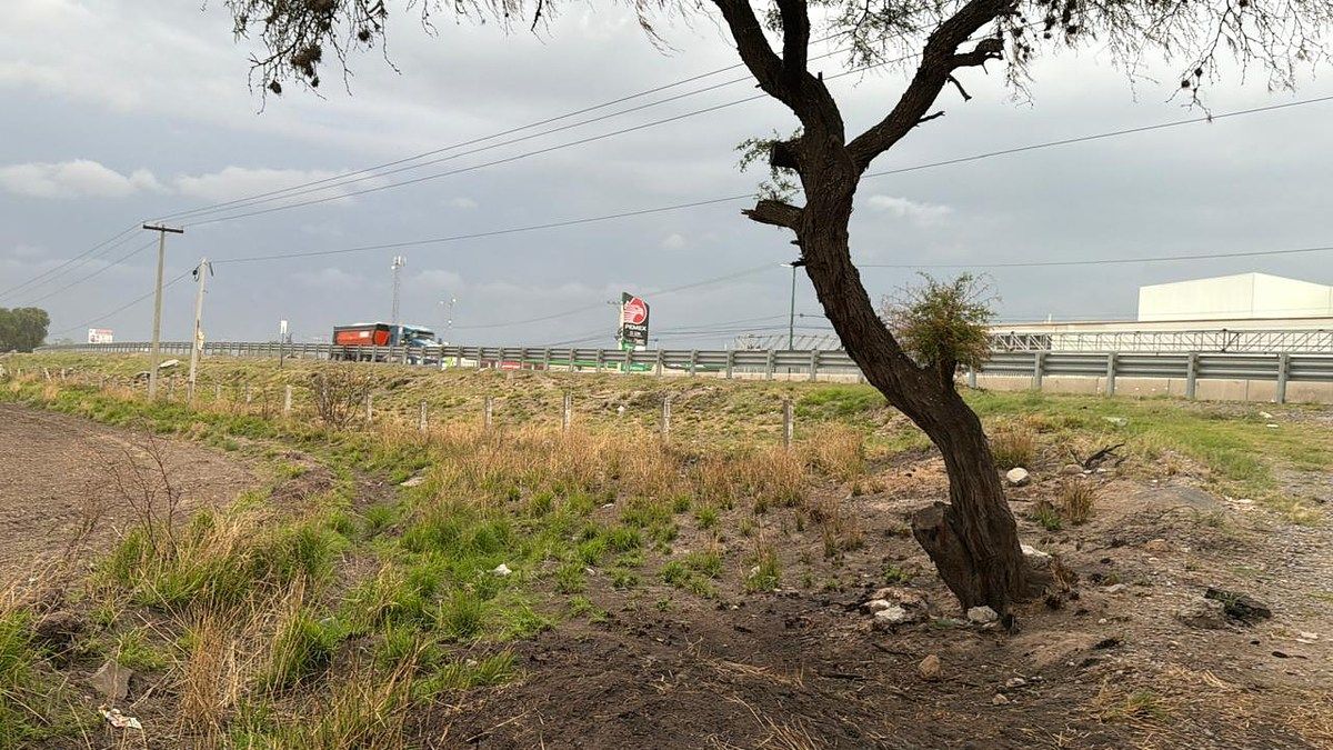 Terreno en El Sáuz Alto, Pedro Escobedo, foto 6 de 13