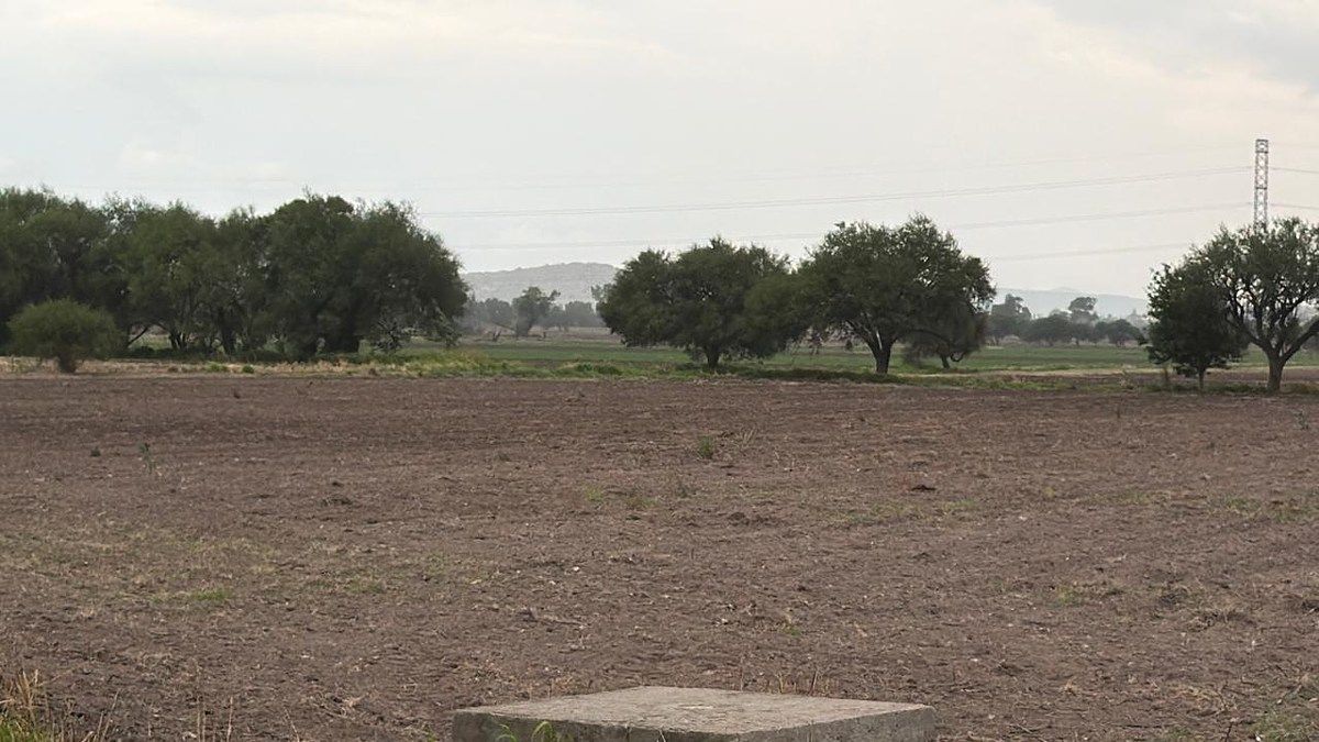 Terreno en El Sáuz Alto, Pedro Escobedo, foto 11 de 13