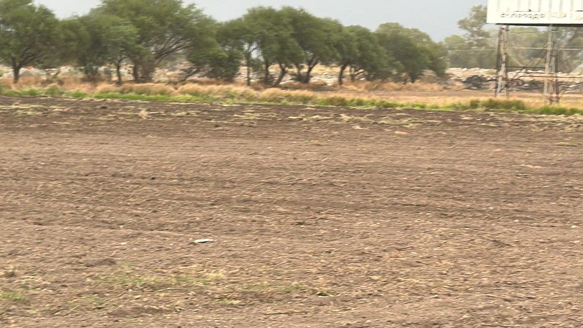 Terreno en El Sáuz Alto, Pedro Escobedo, foto 10 de 13