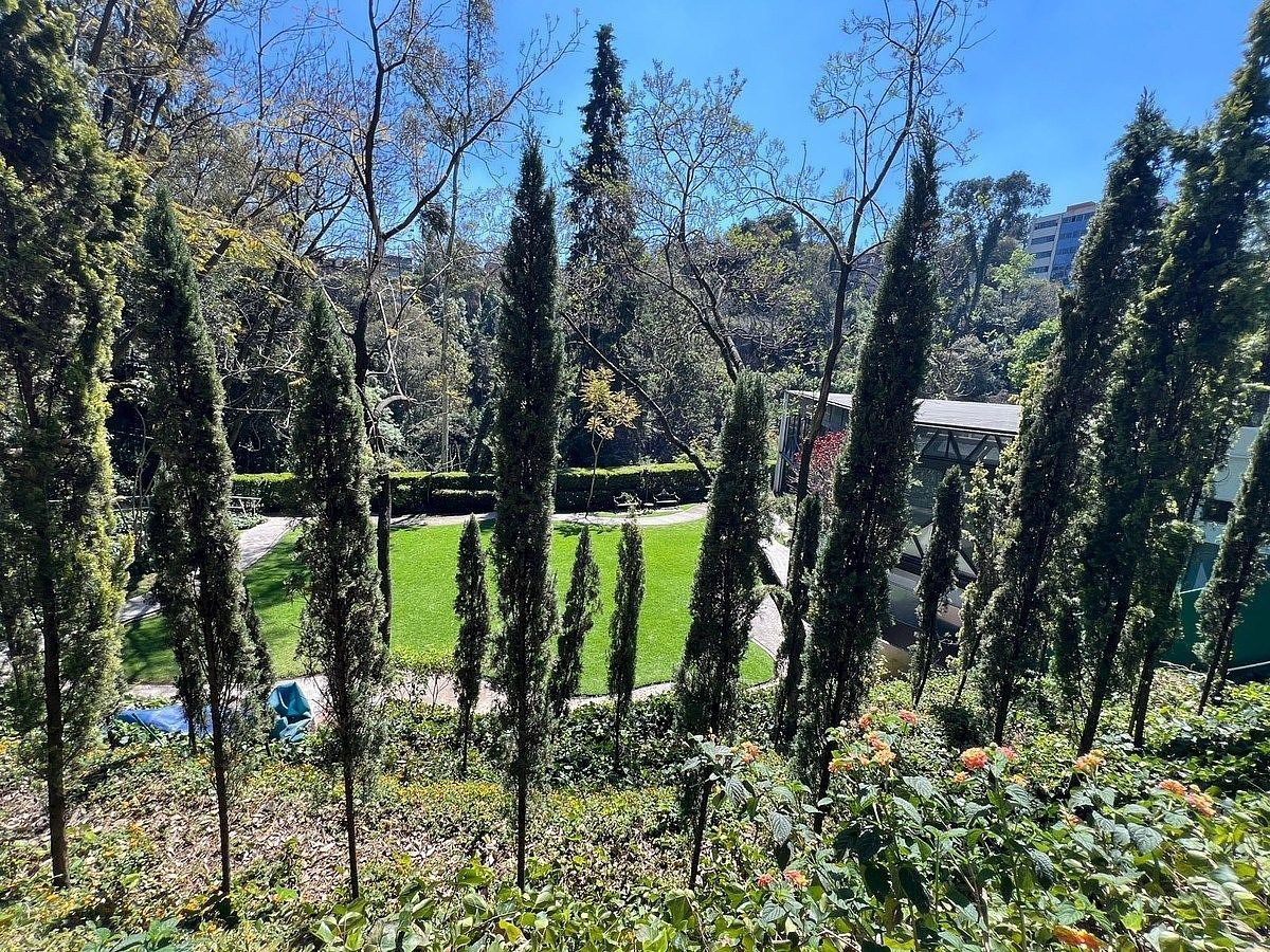 Apartment in Lomas de Chapultepec I Sección, Miguel Hidalgo, photo 33 of 35