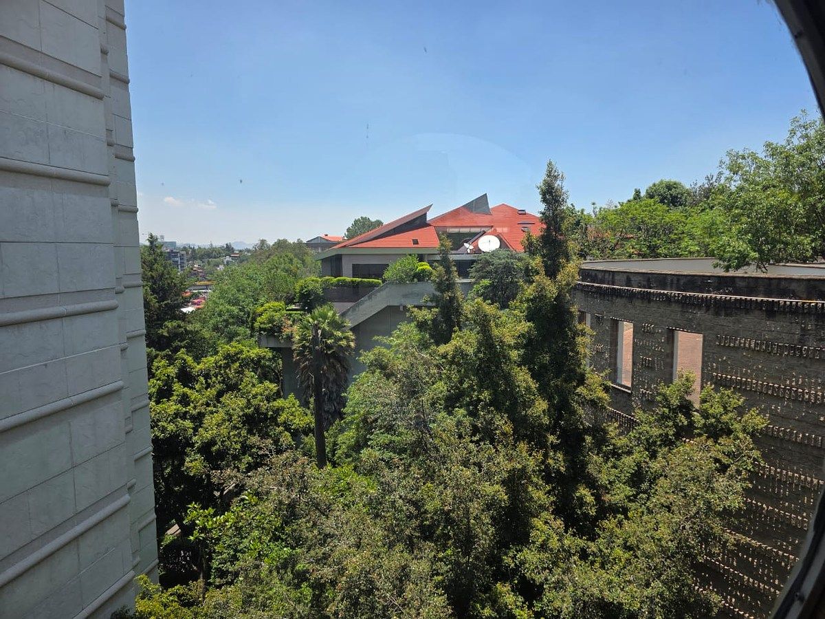 Departamento en Lomas de Chapultepec VIII Sección, Miguel Hidalgo, foto 9 de 50
