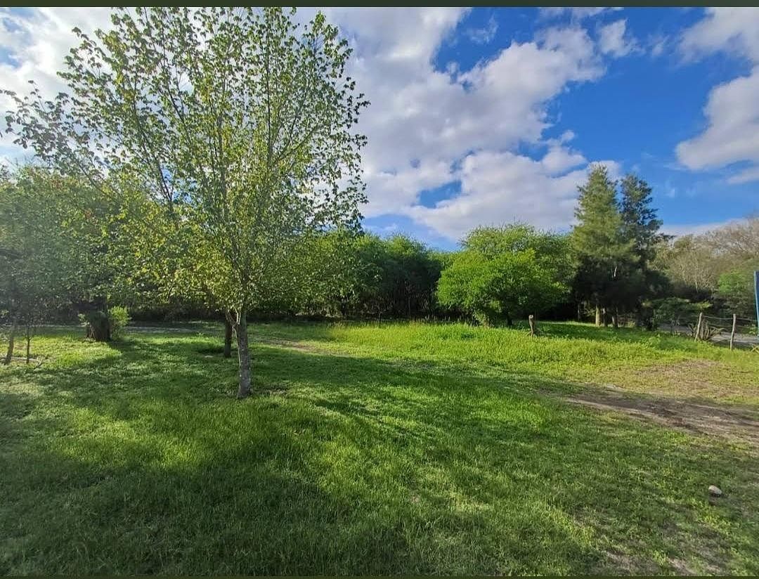 Lote em Los Nogales, Linares, foto 2 de 21