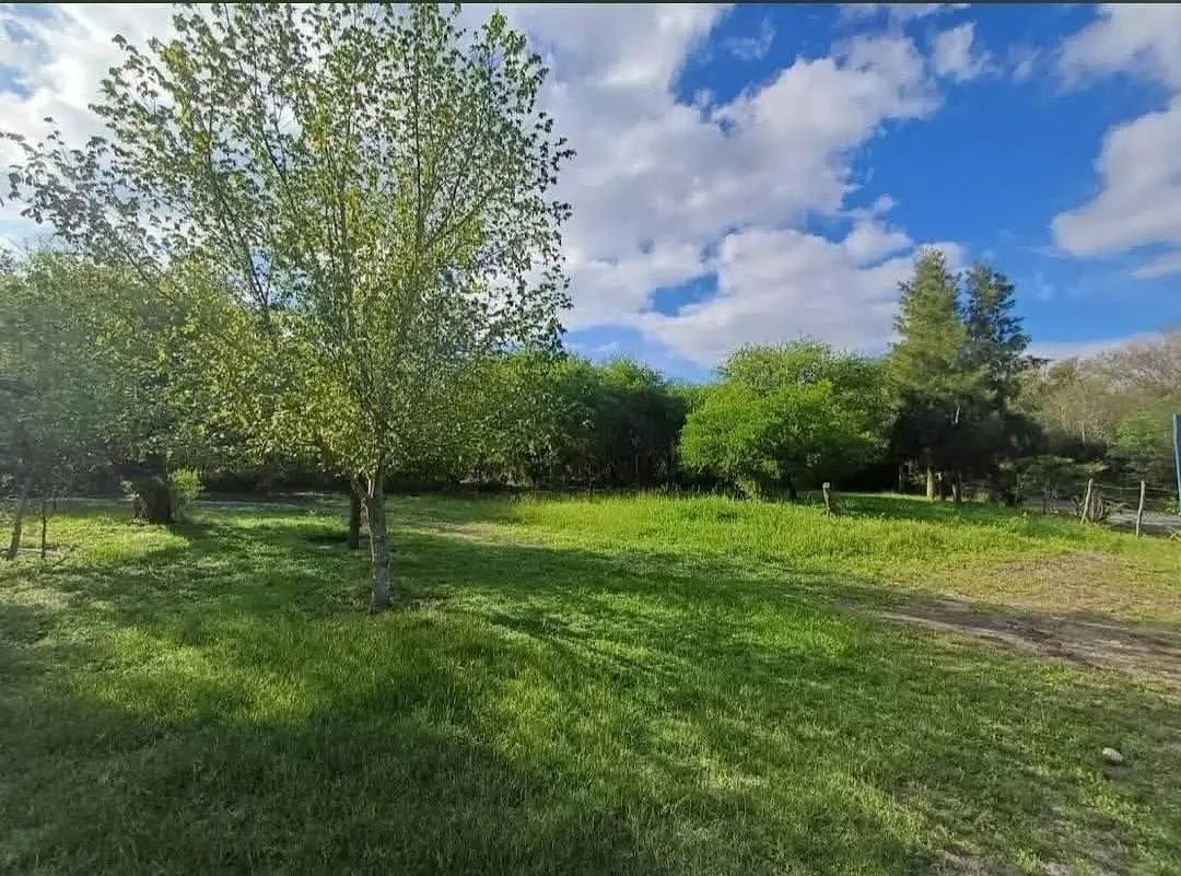 Lote em Los Nogales, Linares, foto 6 de 21
