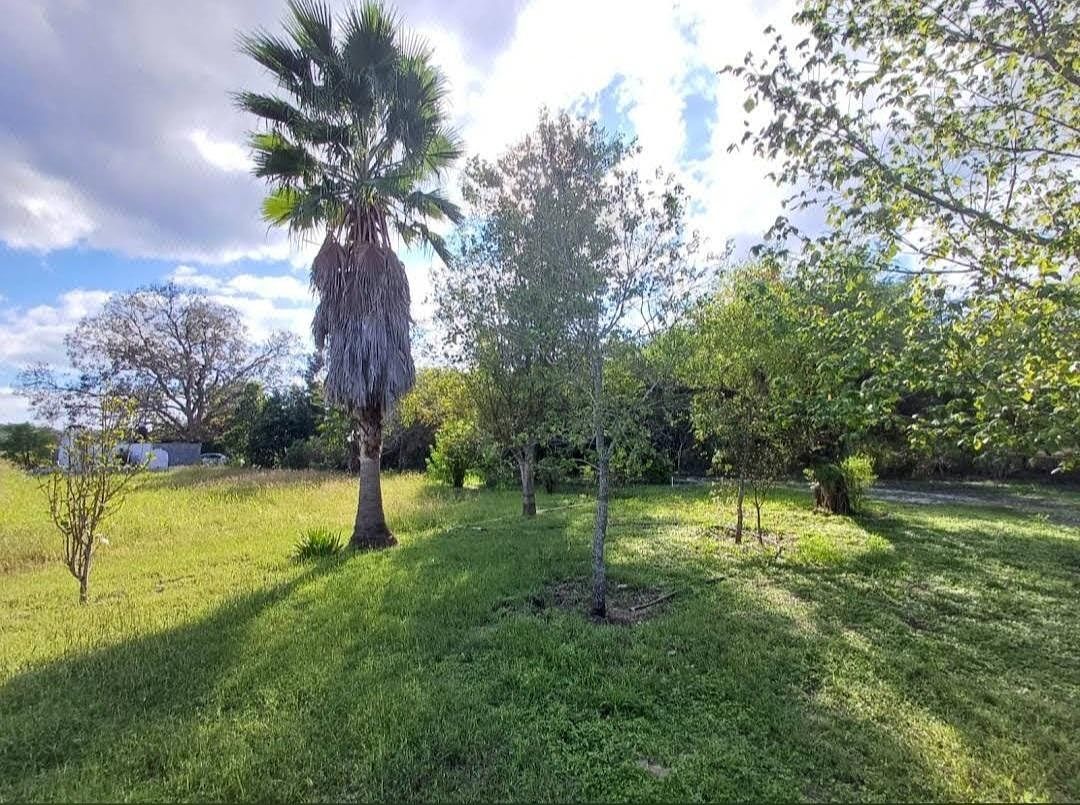 Lote em Los Nogales, Linares, foto 9 de 21