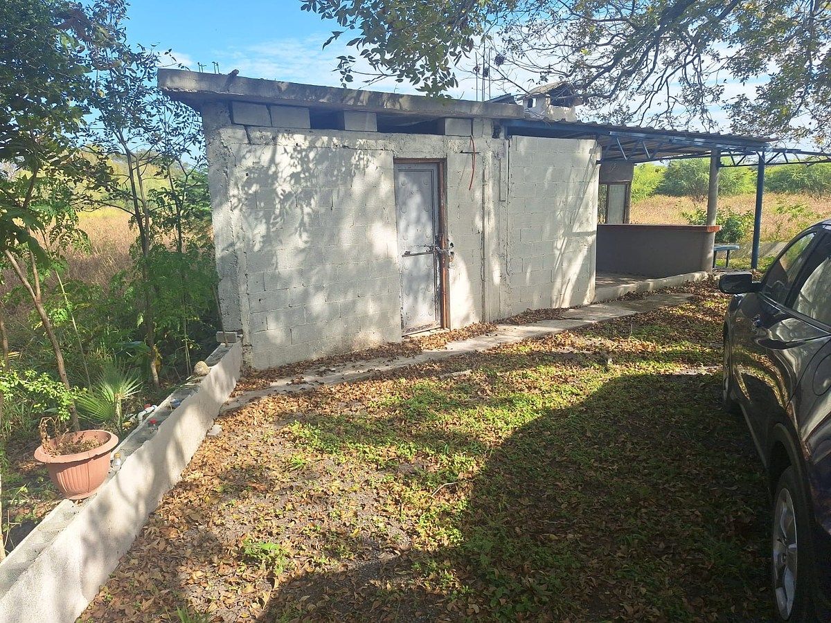 Lote em Los Nogales, Linares, foto 17 de 21